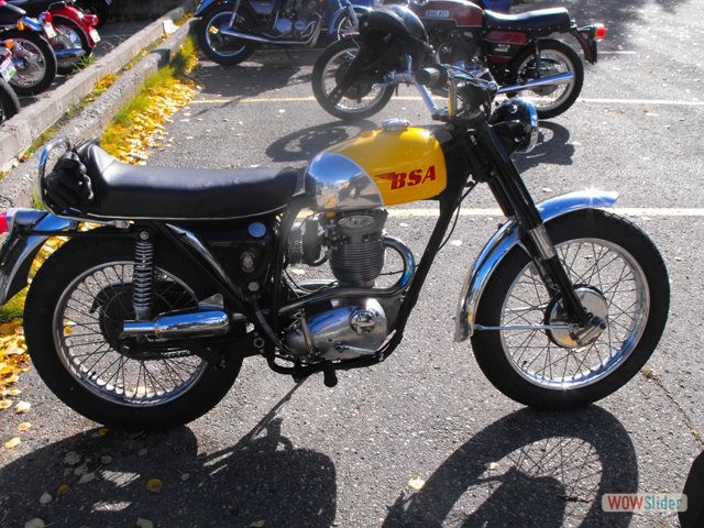 BSA B50
